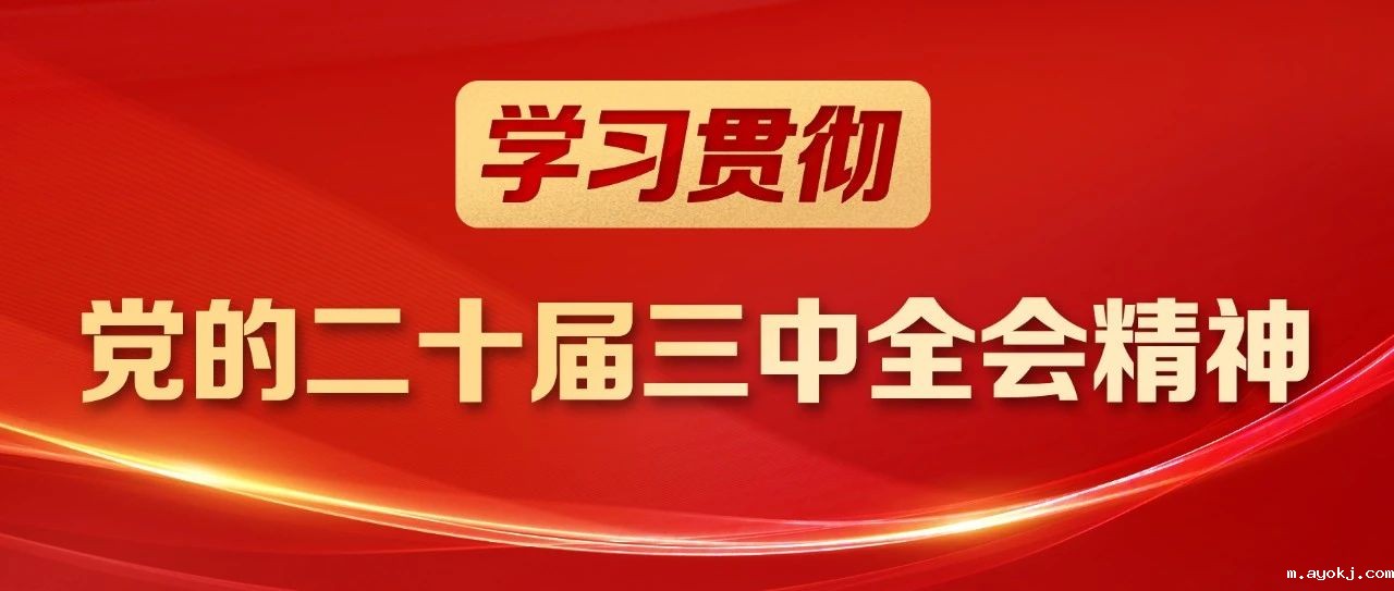 微信图片_20241115092931.jpg