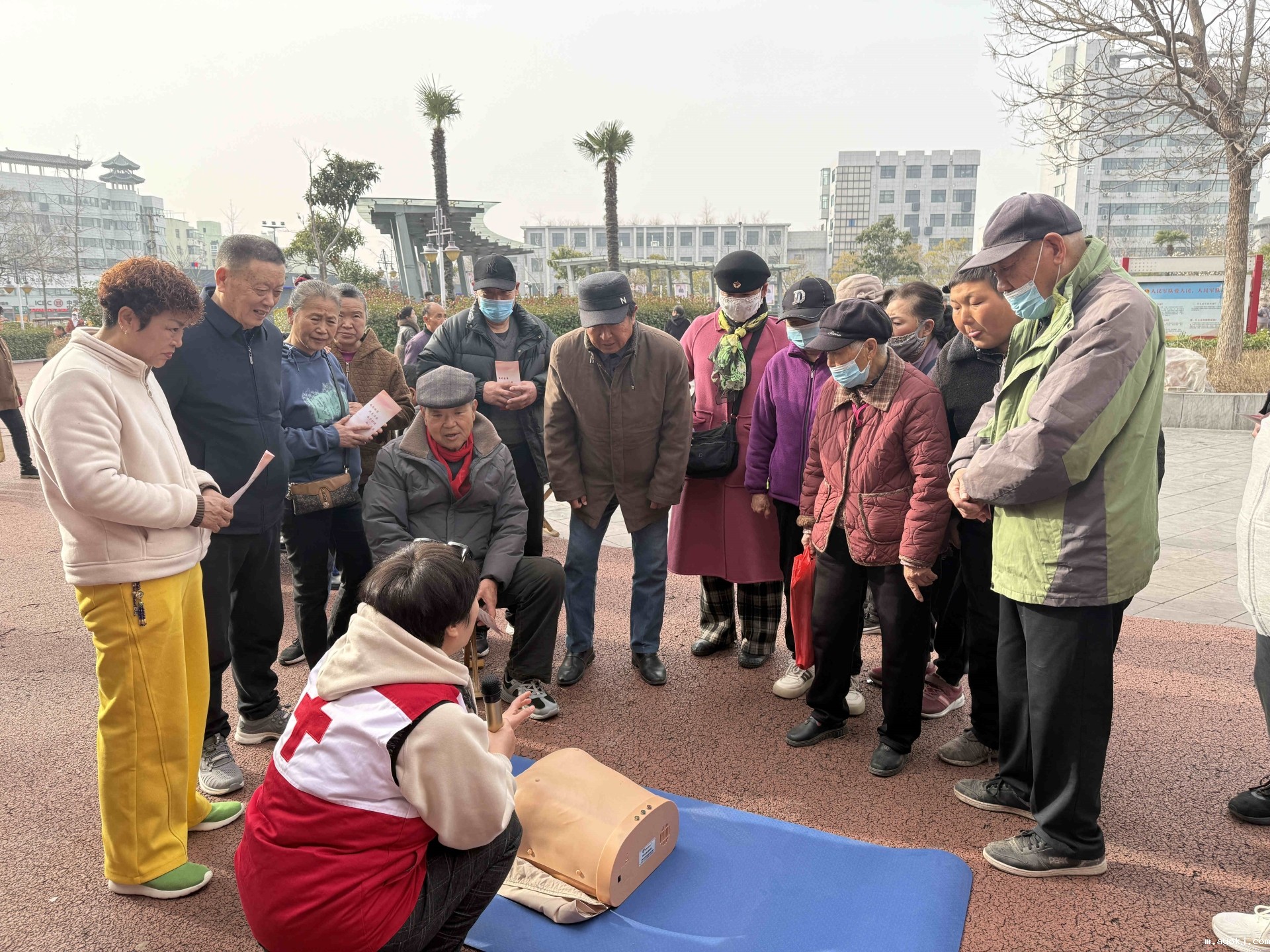 图片4_副本.jpg 图片4_副本.jpg